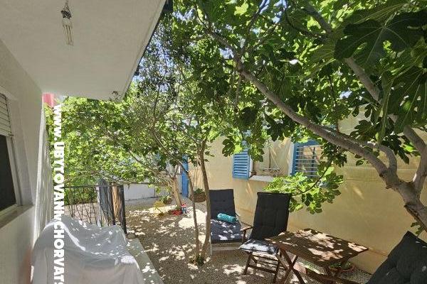 Sea Land  – foto 10