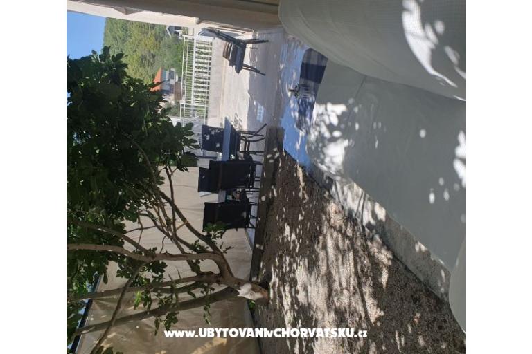 Sea Land  – foto 11