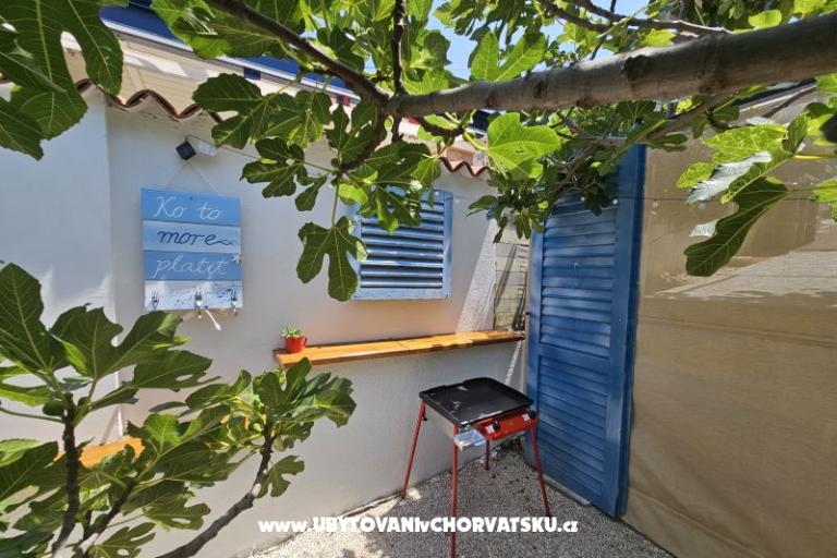 Sea Land  – foto 18