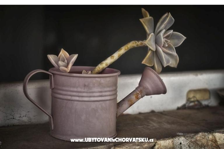 Vila Bartulić – foto 18