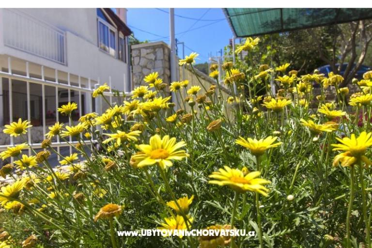 Appartements Katarina Čiovo – foto 11