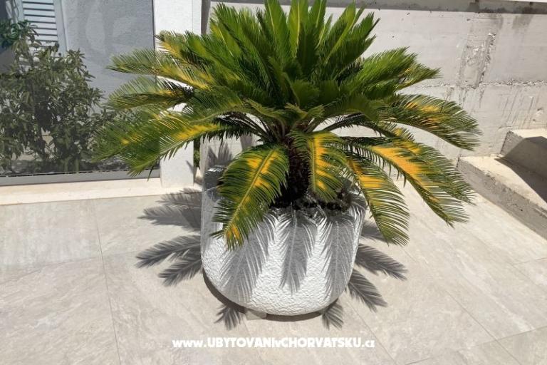 Villa Fabian – foto 11