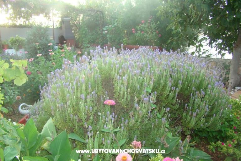 Appartements Villa Milena – foto 6