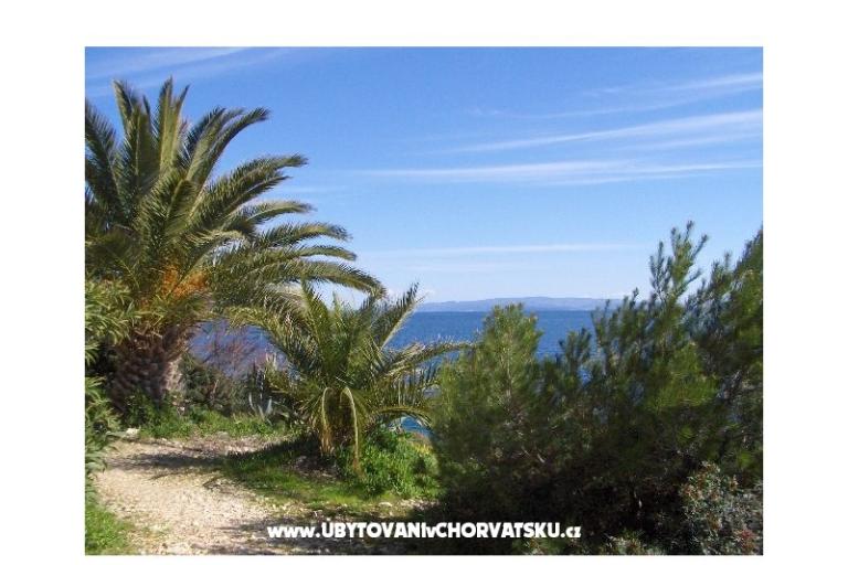 Maison de vacances Oliviano – foto 13