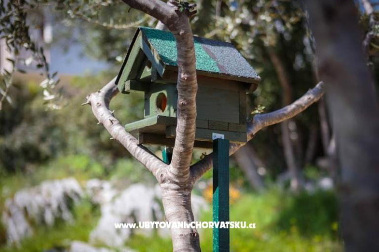 Maison Tea in a beautiful nature – foto 8