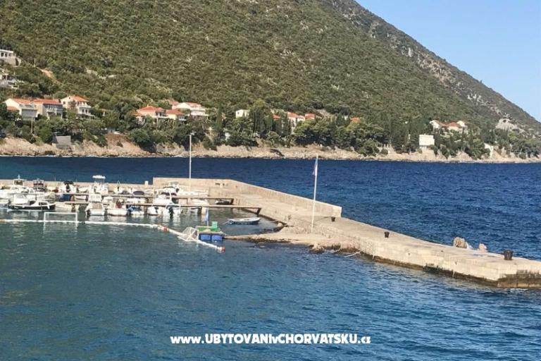 Vila Nautilus luxury Apartments – foto 22