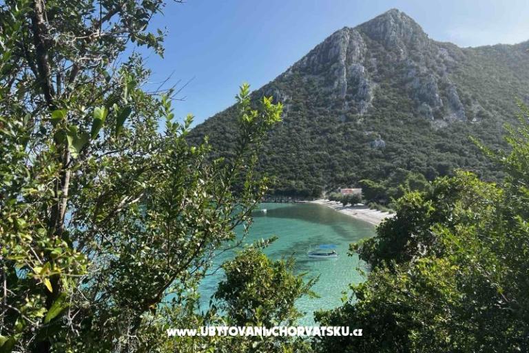 Vila Nautilus luxury Apartments – foto 9