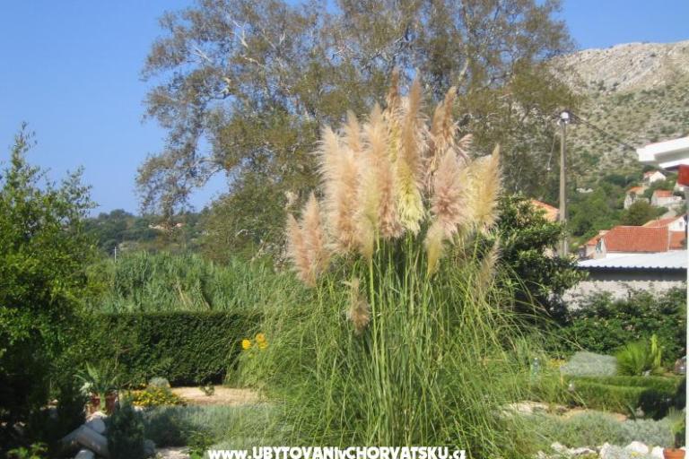 Appartements Sunce – foto 16
