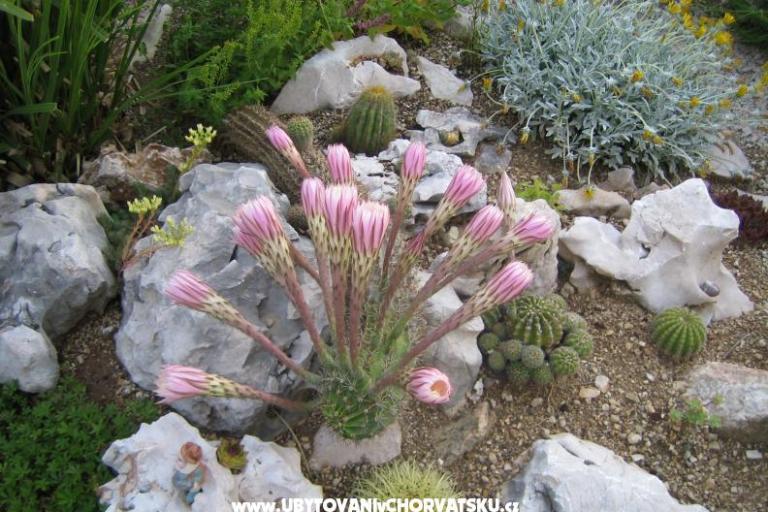 Appartements Sunce – foto 17