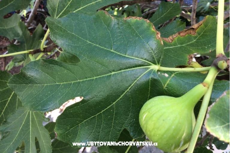Appartement Varija – foto 13