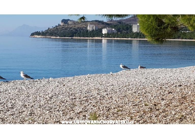 Appartements IKO - Tučepi – foto 10