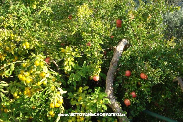 Appartements Čović – foto 12