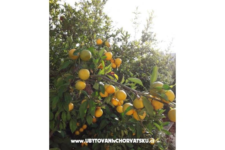 Appartements Čović – foto 14