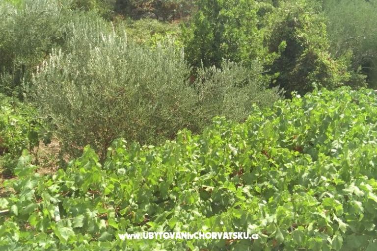 Appartements Čović – foto 16