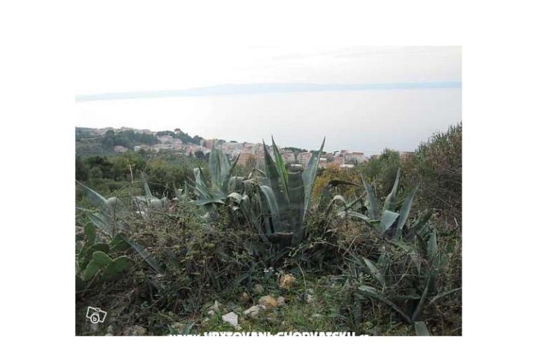 Vila Hermina – foto 13