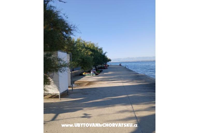 Appartements Galius Ugljan – foto 5