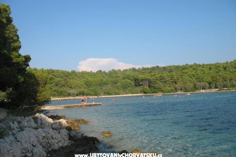 Appartements Tomislav – foto 8