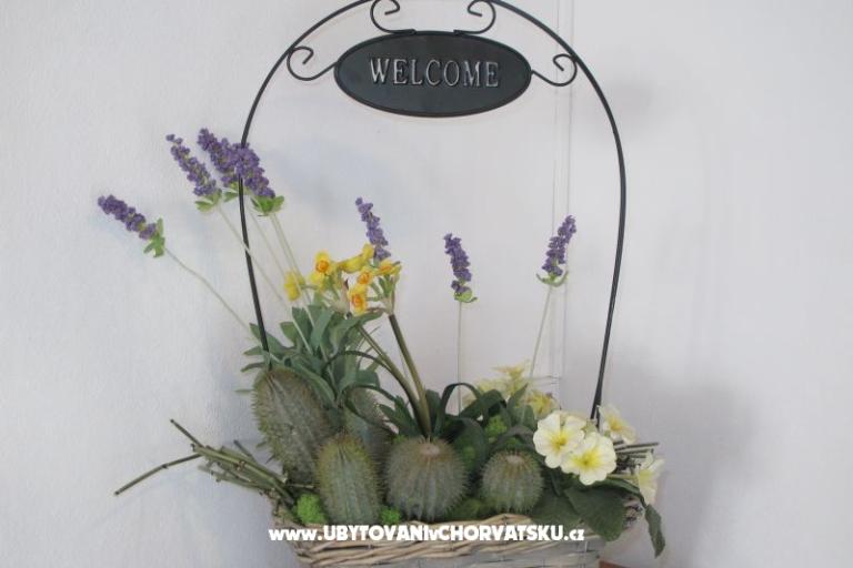 Maison Toma – foto 13