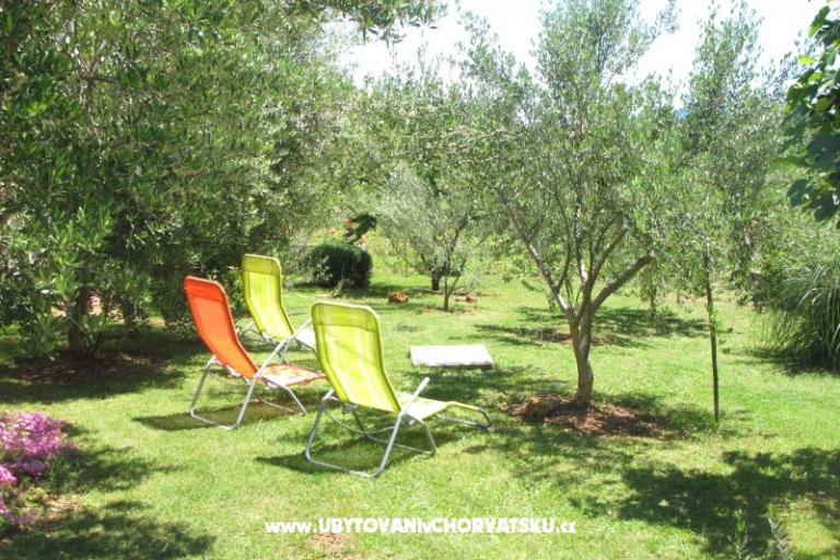 Maison Toma – foto 6