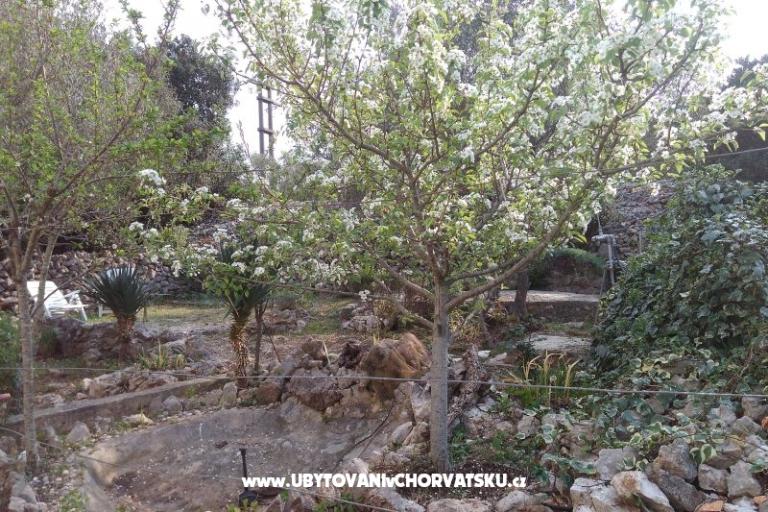 Maison de vacances Ivan – foto 10