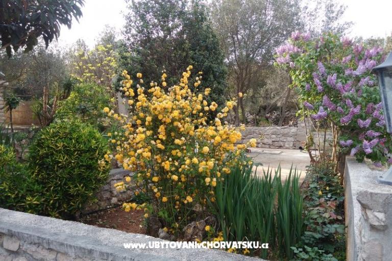 Maison de vacances Ivan – foto 12