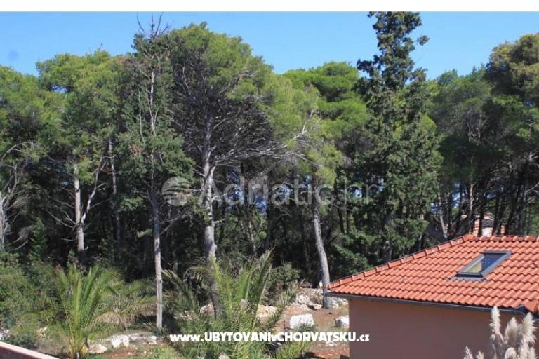 Appartements Mirjana – foto 14