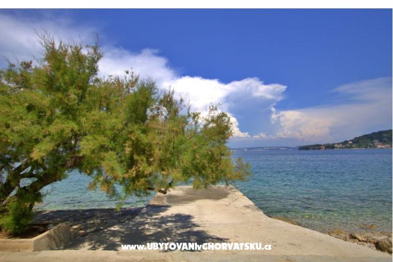 The Secret Garden – foto 14