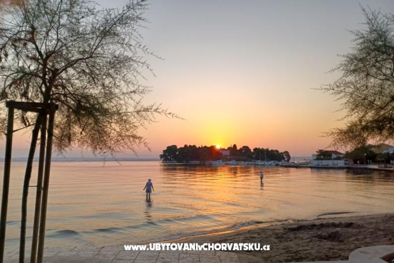 Villa Eden – foto 19