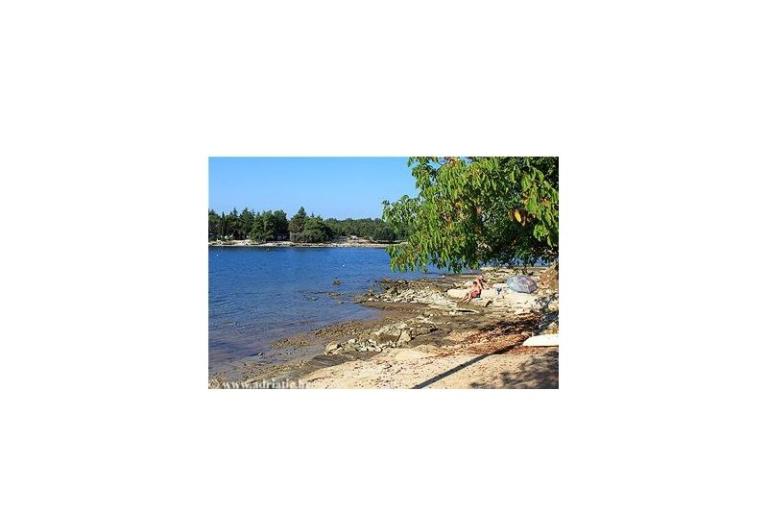 Appartement – foto 4