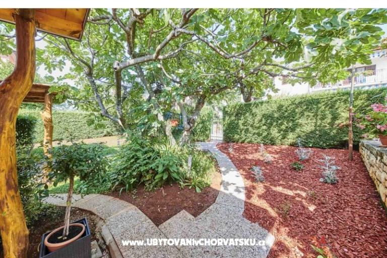 Appartements Boris – foto 5