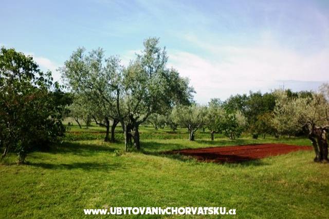 Appartements Linda – foto 3