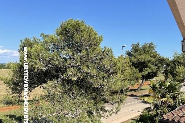 Appartements Maris  – foto 7