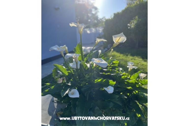 Holiday Maison Gabi – foto 18