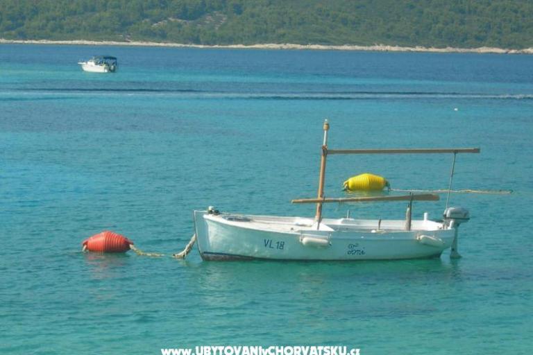 Appartement Prznjak + boat – foto 5