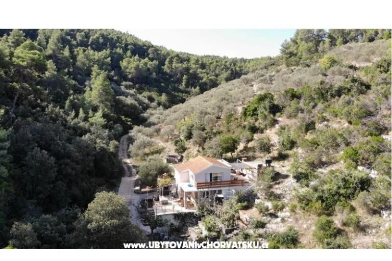 Tina's house  – foto 22