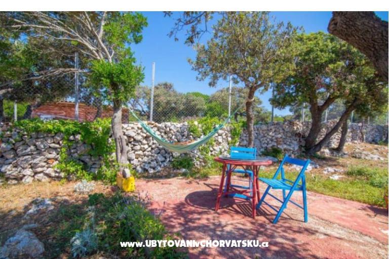 App Bonić – foto 142