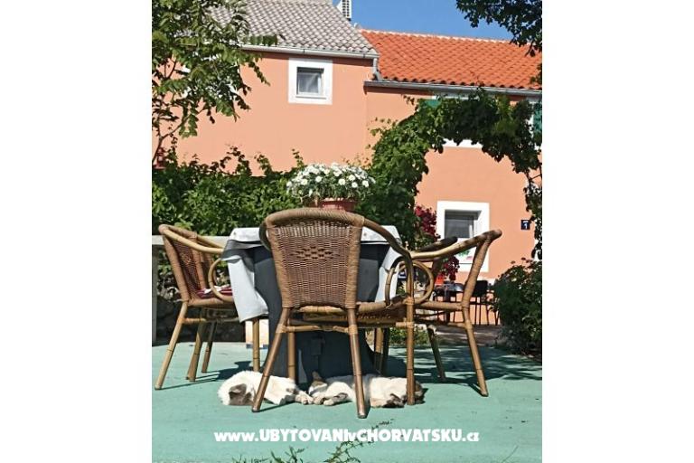 App Bonić – foto 85