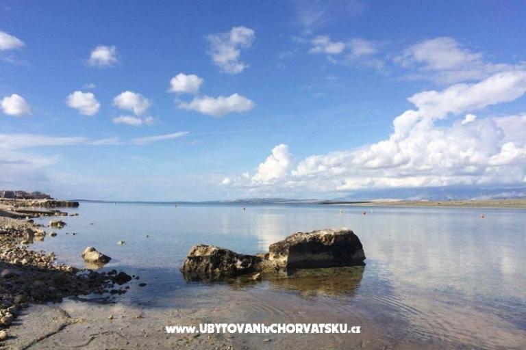 Alida apartmani Vir – foto 13