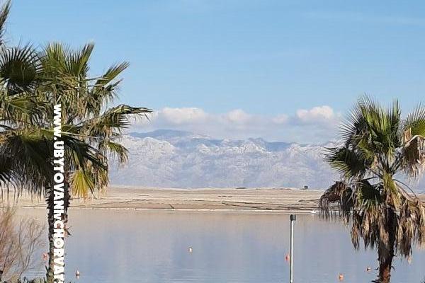 Alida apartmani Vir – foto 23