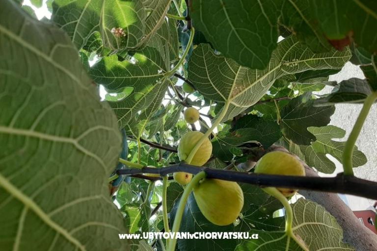 Appartements Alma – foto 16