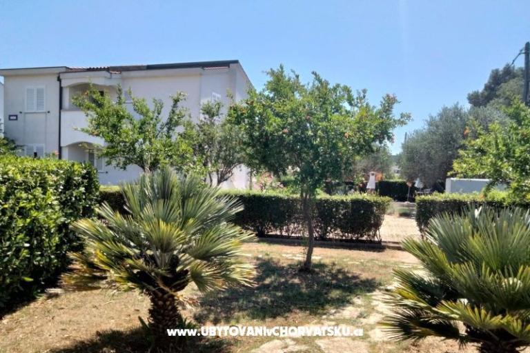 Appartements Budija / Viola – foto 10