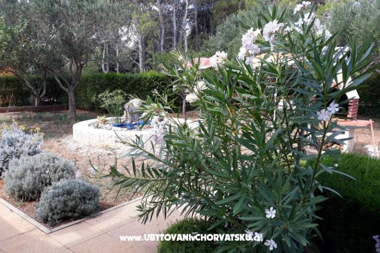 Appartements Budija / Viola – foto 5