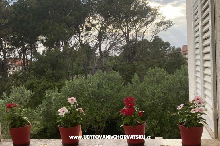 Appartements Budija / Viola – foto 7