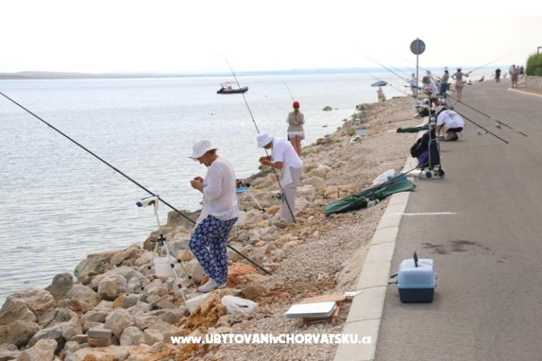 Appartements Debeljak – foto 8