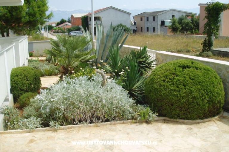 Appartements Fegeš – foto 11