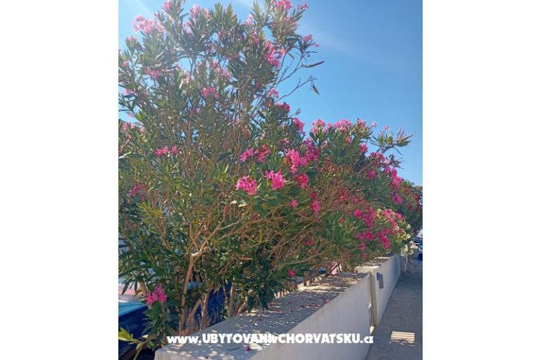 Appartements Knapić – foto 6