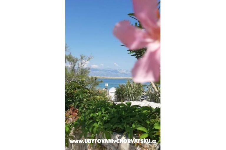 Appartements Knapić – foto 7