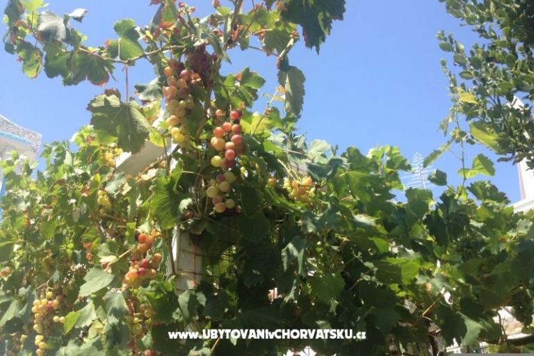 Appartements Plavo More – foto 26