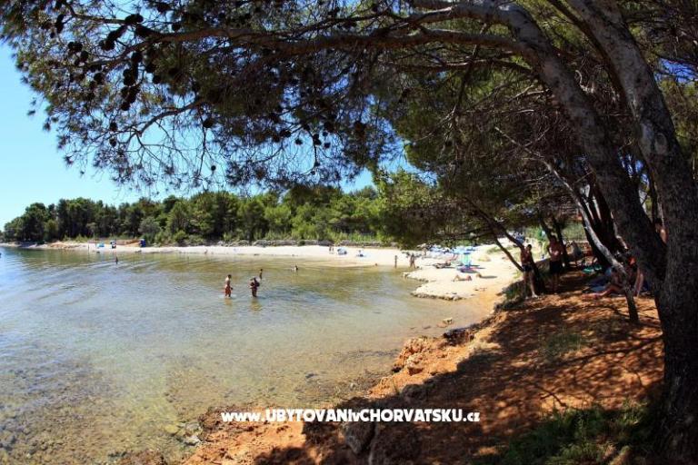 Appartements Pavić - Sapavac – foto 15