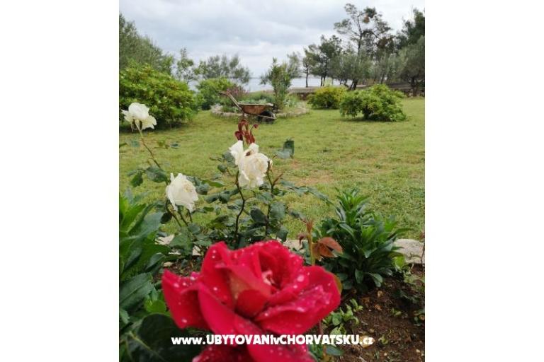 Appartements Pedic – foto 6